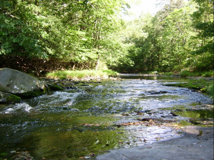 Stream