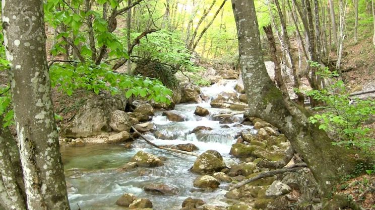 Stream