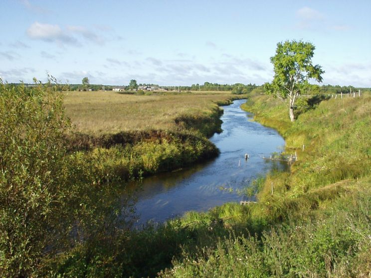 Stream