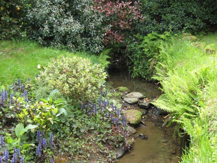 Stream