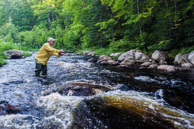 Stream