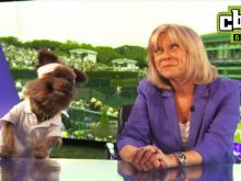 Sue Barker photo