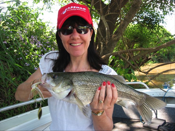 Sue Casey