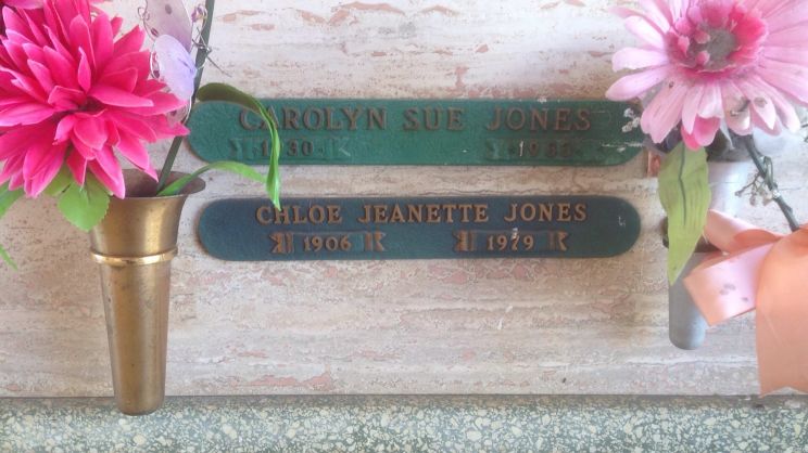 Sue Jones