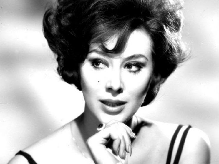 Sue Lloyd, Wall Of Celebrities,Celebrities,download celebrities's Pict...