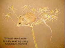 Sue Vincent