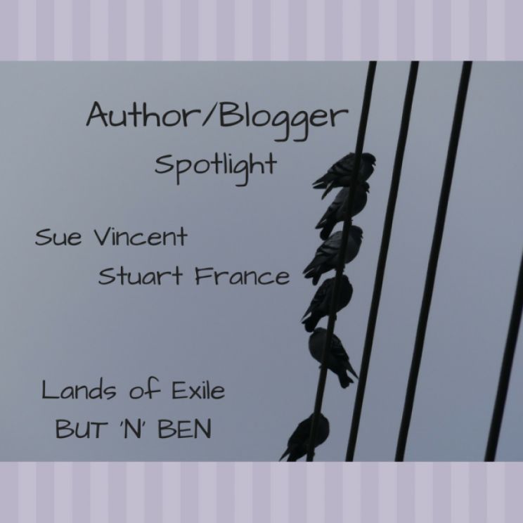 Sue Vincent