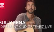 Sully Erna