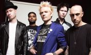 Sum 41