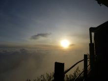 Sunrise Adams