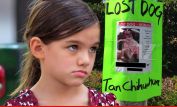 Suri Cruise