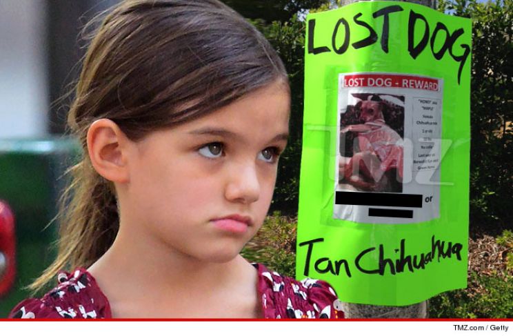 Suri Cruise