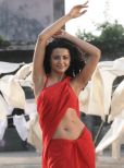 Surveen Chawla