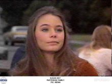 Susan Dey #274845 picture (Landscape Medium)