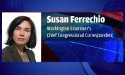 Susan Ferrechio