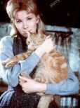 Susan Hampshire