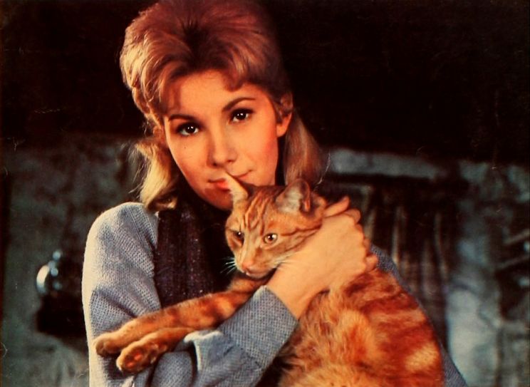 Susan Hampshire