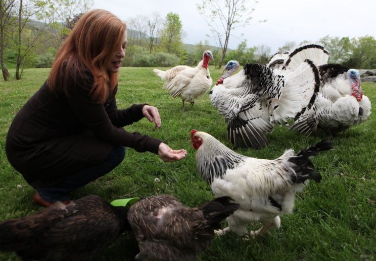 Susan Orlean