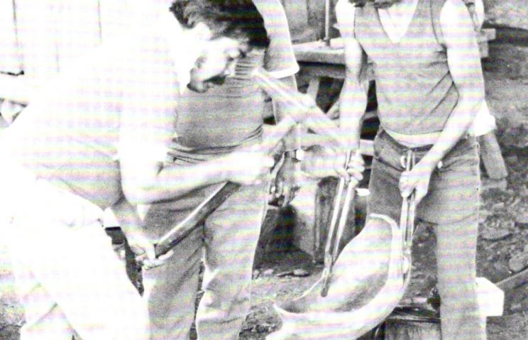Susan R Ewing