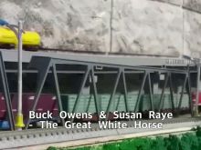 Susan Raye photo
