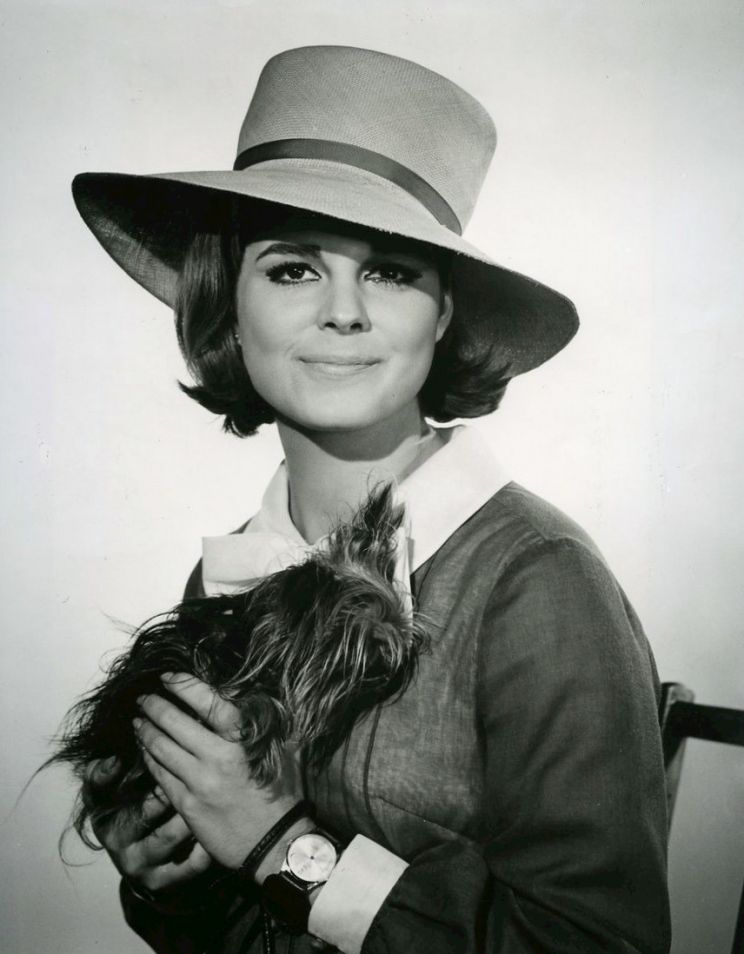 Susan Saint James