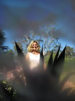 Susan Traylor