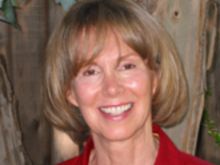 Susan Willis