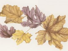 Susan Willis