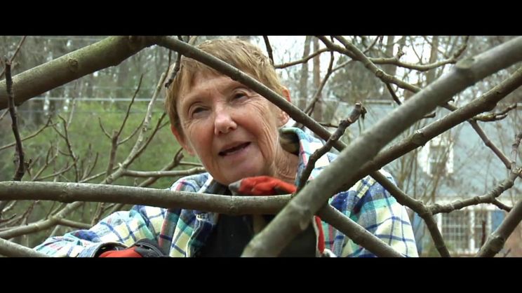 Susan Willis