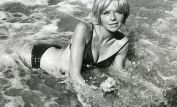 Susannah York