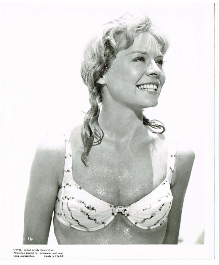 Susannah York