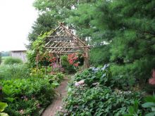 Suzanne Clauser #3092218 picture (Landscape Medium)