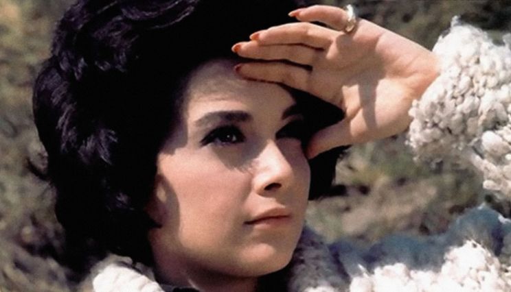 Suzanne Pleshette