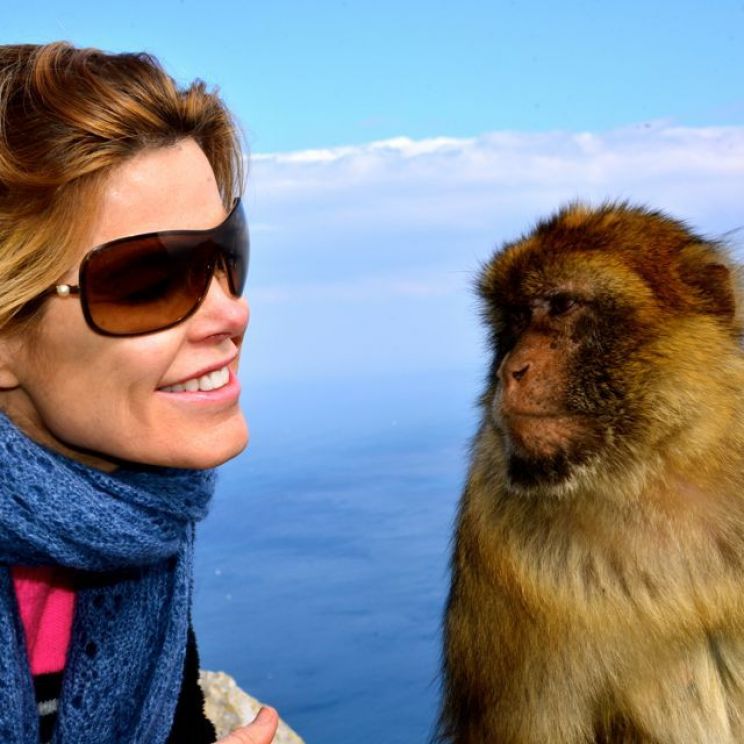 Suzanne Rico