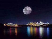 Sydney Moon