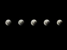 Sydney Moon