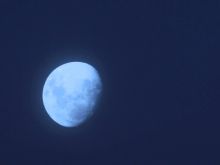 Sydney Moon