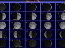 Sydney Moon
