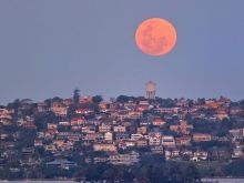 Sydney Moon