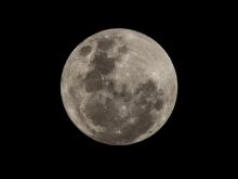 Sydney Moon