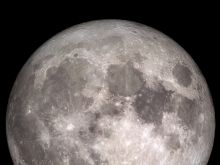 Sydney Moon