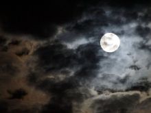 Sydney Moon