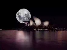 Sydney Moon
