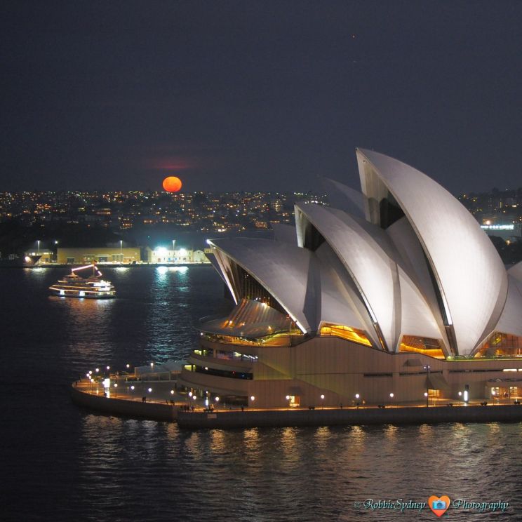 Sydney Moon