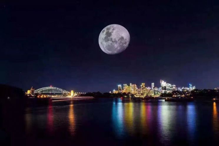 Sydney Moon