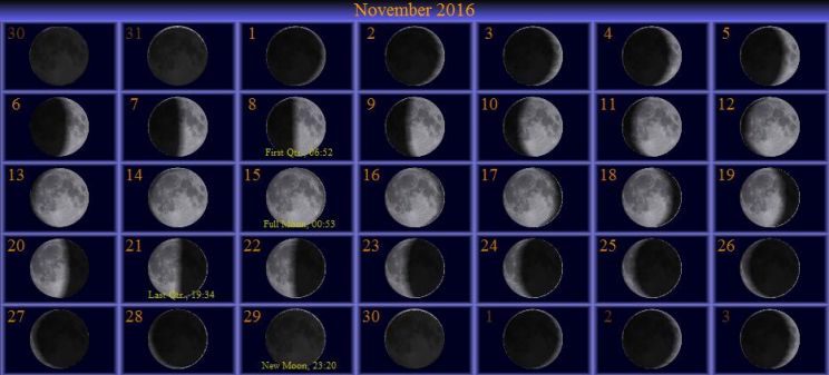 Sydney Moon