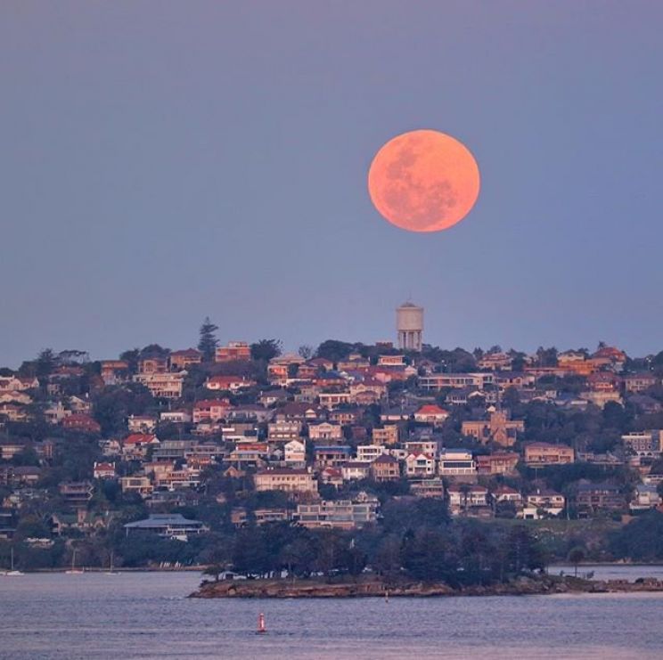 Sydney Moon