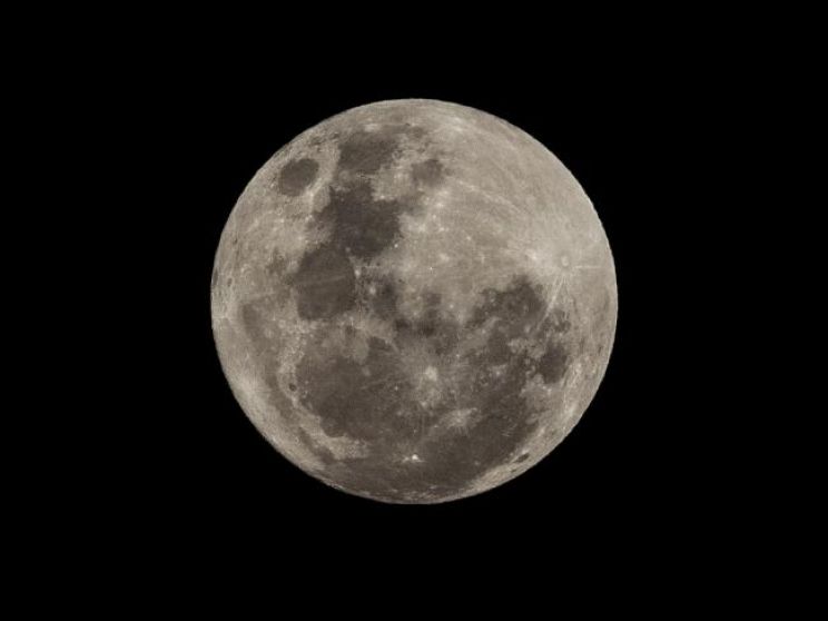 Sydney Moon
