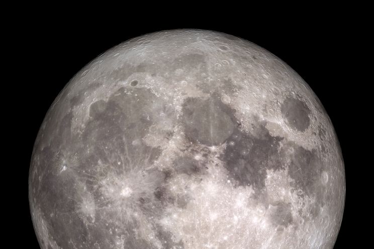 Sydney Moon