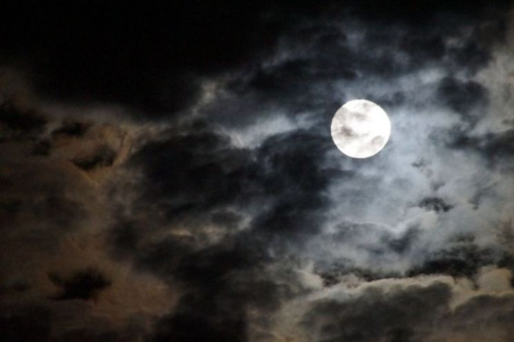 Sydney Moon